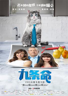 亚洲a在线播放